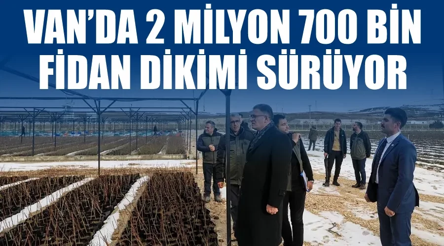 Van’da 2 Milyon 700 bin fidan dikimi sürüyor