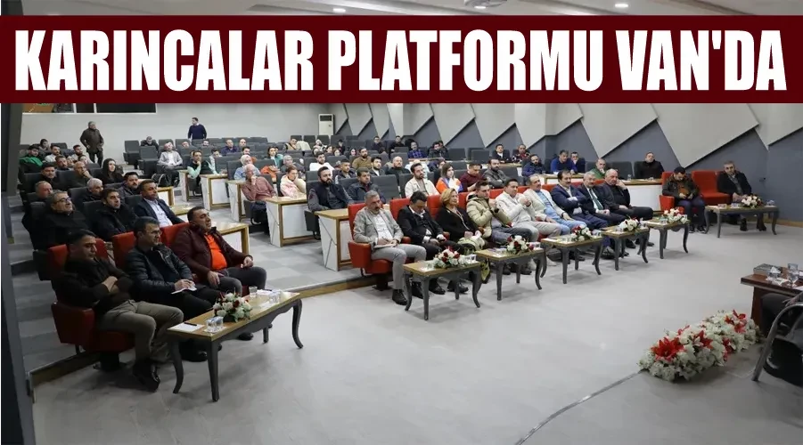 Karıncalar platformu Van