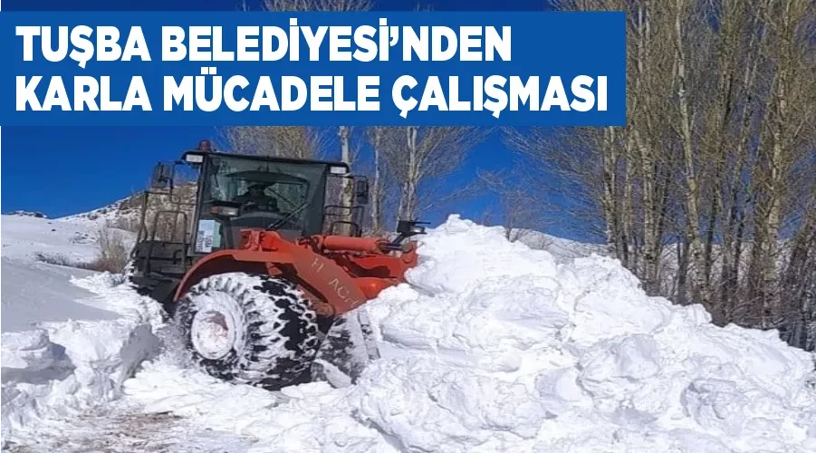 Tuşba Belediyesi’nden karla mücadele çalışması