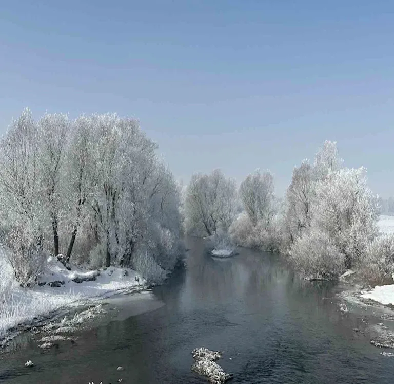 Yüksekova’da ağaçlar kırağı tuttu