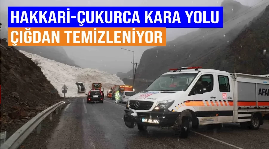 Hakkari-Çukurca kara yolu çığdan temizleniyor