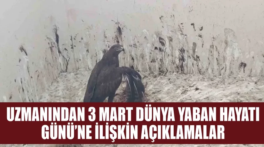 Uzmanından 3 Mart Dünya Yaban Hayatı Günü’ne ilişkin açıklamalar