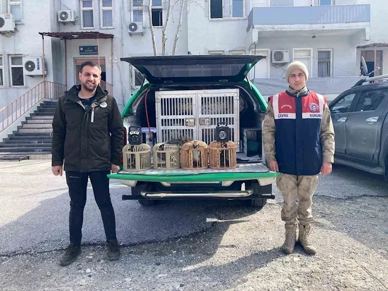 Bitlis’te keklik avlayan 4 kişiye 106 bin 135 lira para cezası