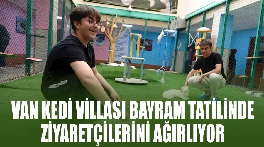 Van Kedi Villası bayram tatilinde ziyaretçilerini ağırlıyor