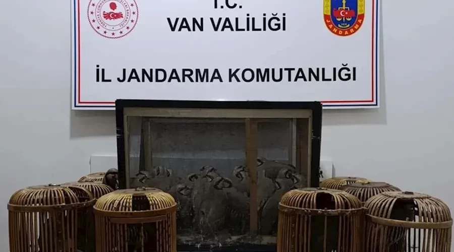 Kafes avcıları jandarmaya takıldı