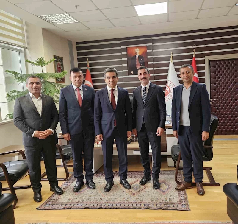 Hakkari ve ilçelerindeki sıkıntı ve sorunları Ankara’ya taşıdılar