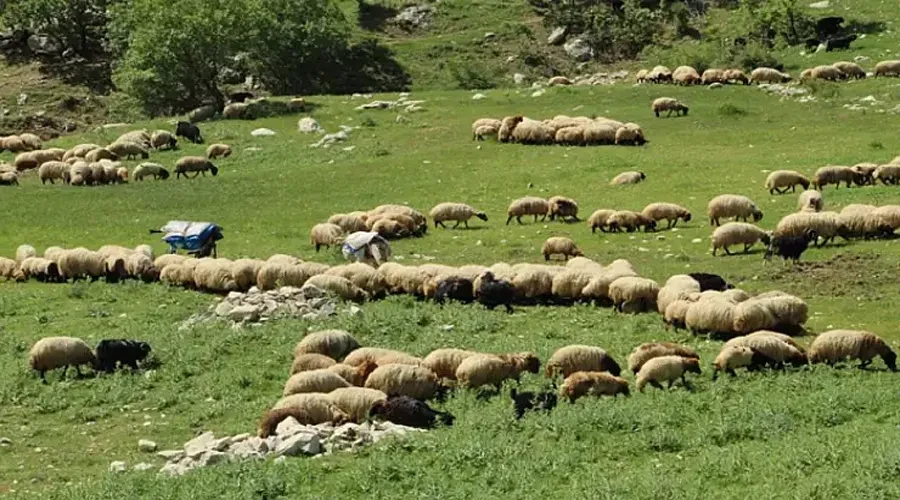 Van-Şırnak-Hakkari üçgeninde zorlu yolculuk