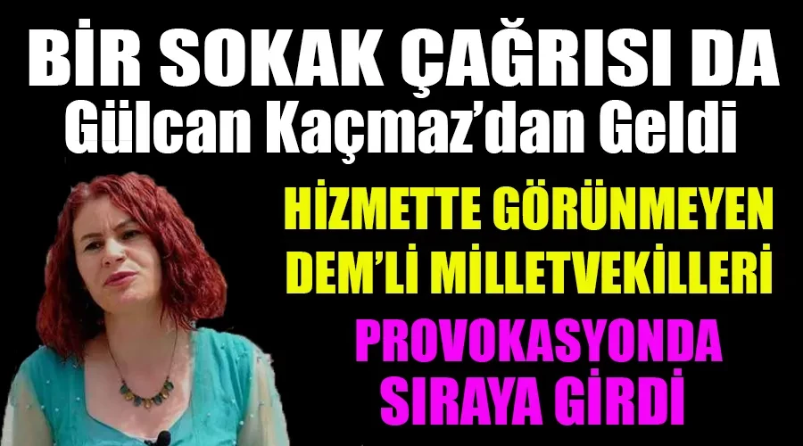 Bir Provokasyon Çağrısı da DEM Parti Van Milletvekili Gülcan Kaçmaz Sayyiğit