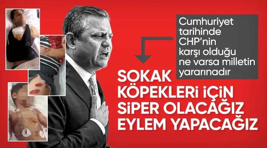 Özgür Özel: Sokak köpekleri için siper olacağız