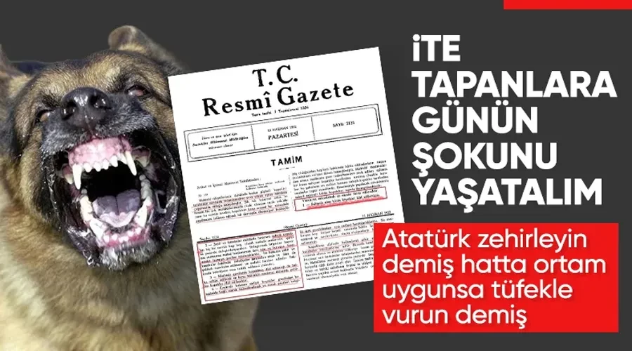 1932 yılında başıboş köpekler için Resmi Gazete