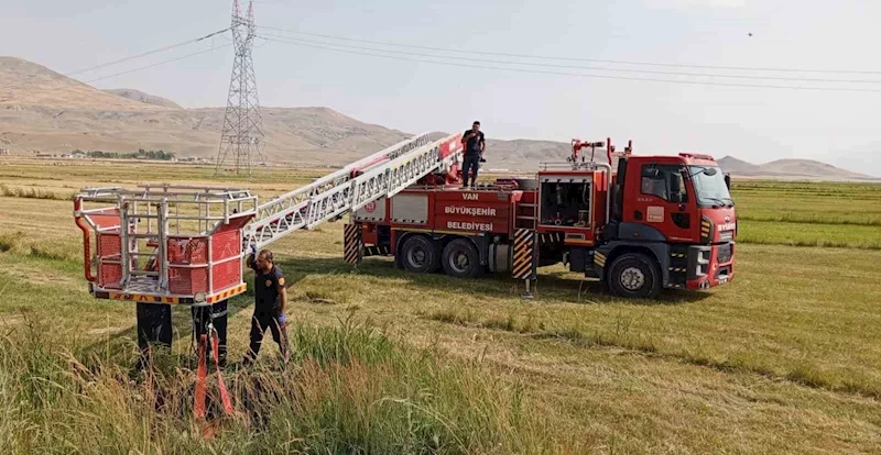 Van’da inek kurtarma operasyonu