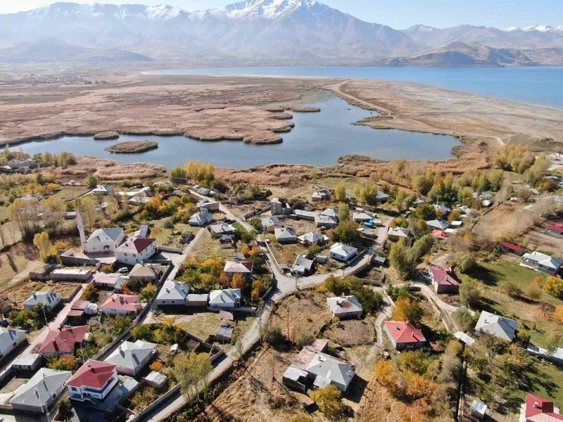 Van Dilkaya Deltası’nda sonbahar güzelliği