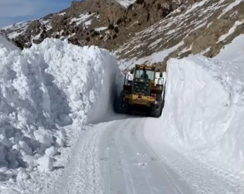 Başkale’de kar yağışı: 50 yerleşim yerinin yolu ulaşıma kapandı