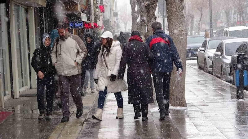 Van’da kar yağışı hayatı olumsuz etkiledi