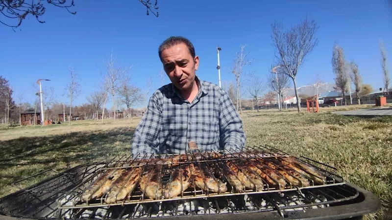 Van Gölü
