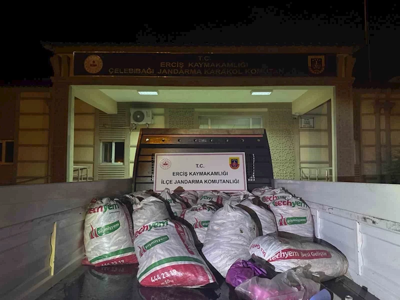 Van’da 3 aylık süreçte kaçak avlanan 78 ton inci kefaline el konuldu