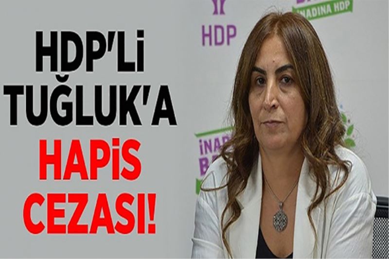 HDP’li Aysel Tuğluk’a hapis cezası