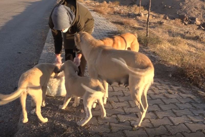 Can dostlar 2 çocuk annesi Şükran’a emanet 