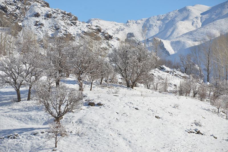 Şırnak’ta termometreler eksi 21 dereceyi gösterdi, dereler dondu