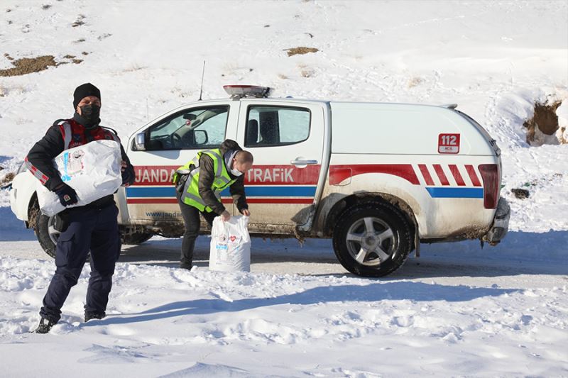 Başkale’de sokak hayvanları yalnız bırakılmıyor