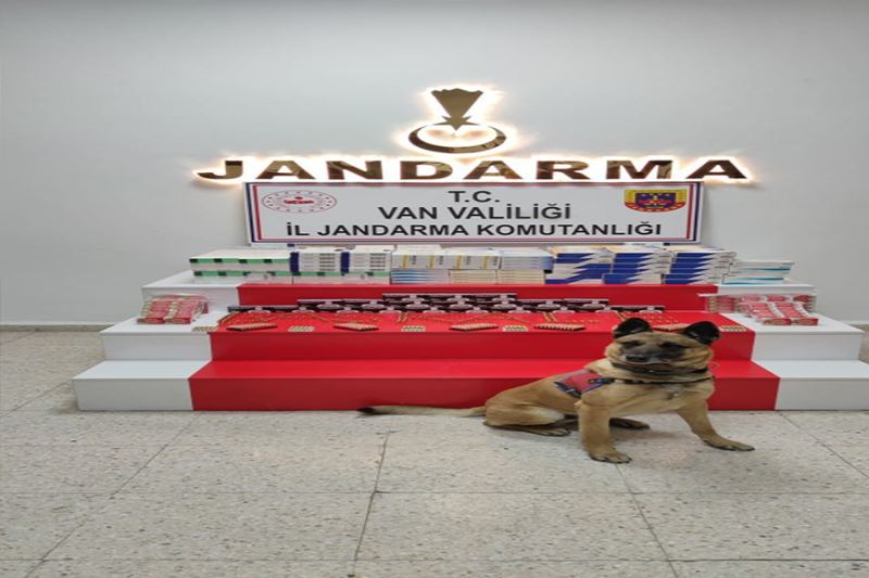 Başkale’de 3 bin mermi ve 34 bin adet ilaç ele geçirildi