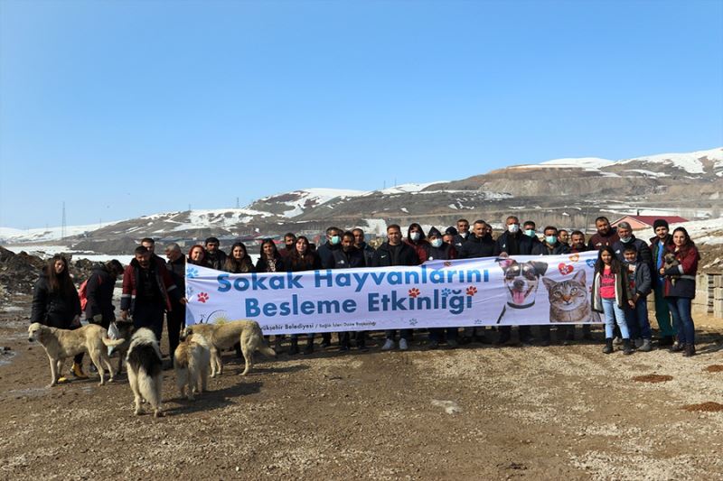 Van’da sokak hayvanları için besleme etkinliği