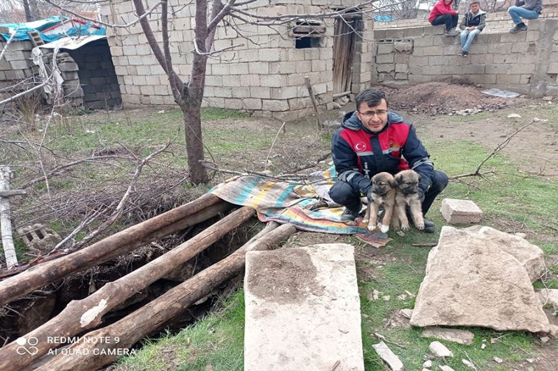 13 metre derinlikteki çukura düşen yavru köpekler itfaiye tarafından kurtarıldı