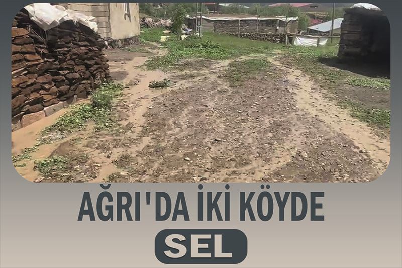 Ağrı